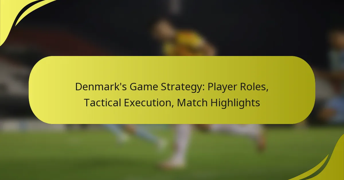 Dänemarks Spielstrategie: Spielerrollen, taktische Ausführung, Spielhighlights